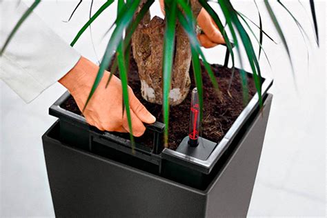 Делаем автополив комнатных растений своими руками: система ...