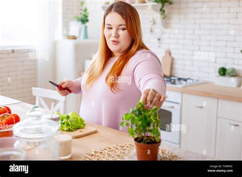 Plump body hi-res stock photography and images - Alamy