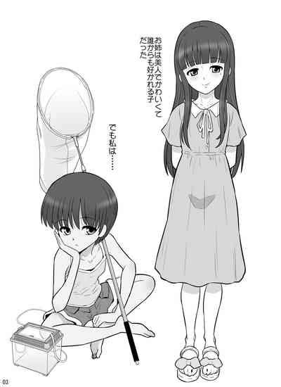 Takizawa Shimaichou Nikki Nhentai Hentai Doujinshi And Manga