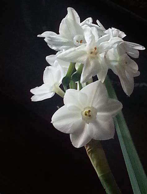 My take — Break-Room