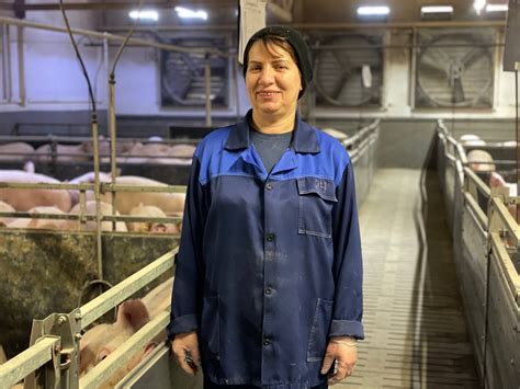 Лучшие осеменаторы