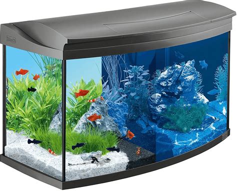 Tetra AquaArt Evolution Line 100l ab 269,99 € | Preisvergleich bei ...