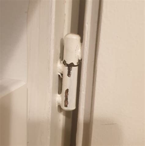 Kitchens What Is This Type Of Hinge And How Do I Remove It Home