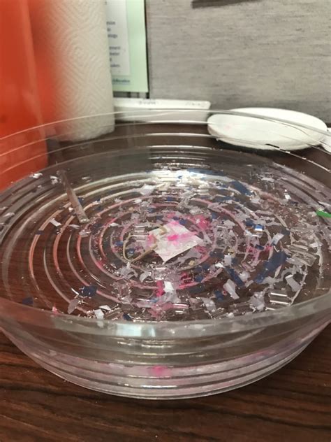 Ocean Gyres And Plastic Pollution Solutions Learning Is Messy