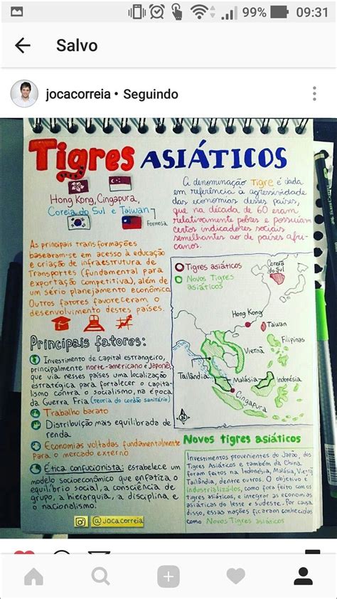 Mapas Mentais sobre Tigres Asiáticos - Mapa 10