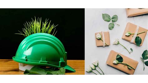 Being Environmentally Friendly vs Eco Friendly: Which is Better? - Ecotsy