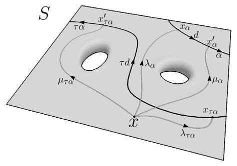loops  product  dual loops  scientific diagram