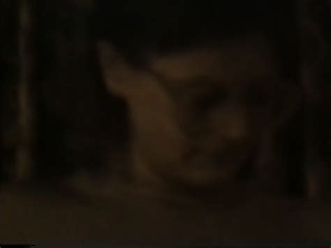 Just Some Old Clips Of Yvonne Naked