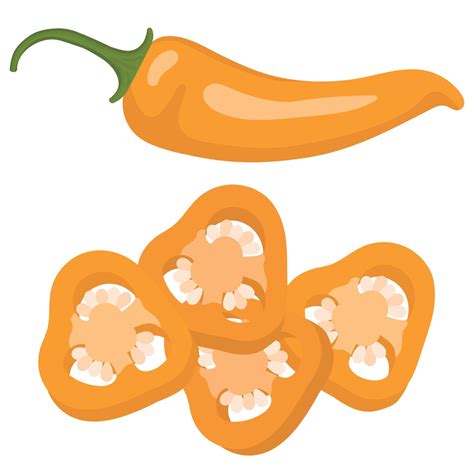 Yellow Hot Chili Pepper Slices Of Yellow Hot Pepper Vector Illustration Of Red Chili Pepper