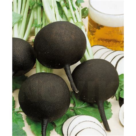 Круглые черные семена редьки (Satimex) купить в интернет-магазине цена ...