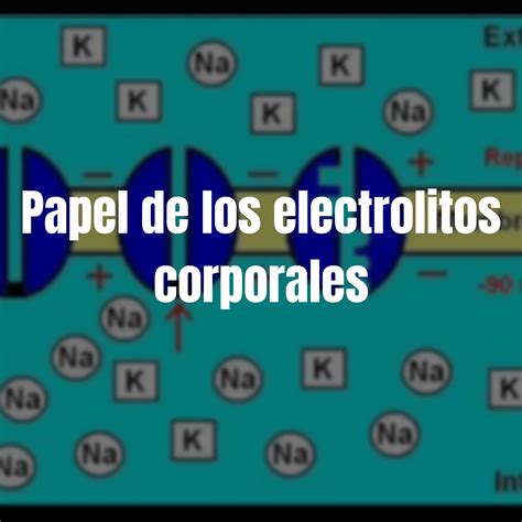 El Papel De Los Electrolitos En El Cuerpo