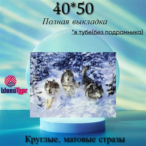 Алмазная мозаика 40*50 в тубе (БЕЗ ПОДРАМНИКА) купить на OZON по низкой ...