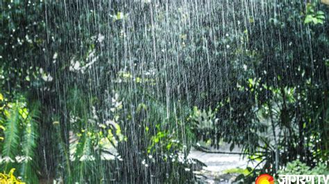 Weather Report Today Update Imd Predicts Heavy Rainfall In Delhi Ncr