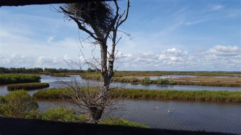 observatoireteich tiffany  teste pour vous