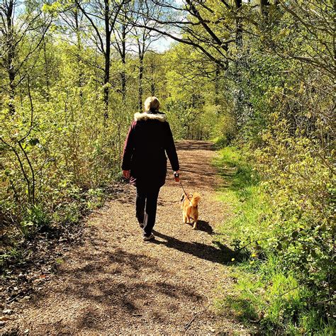 Hiding in plain sight - a childless woman’s perspective and life