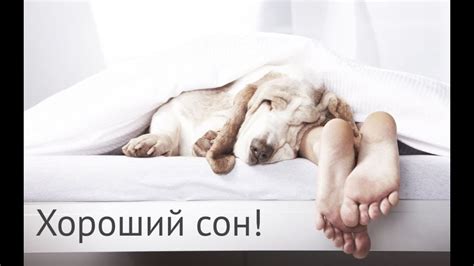 Хороший сон! - YouTube