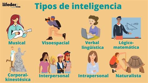 Tipos De Intelige - Los 8 tipos de inteligencia y cómo identificarlas
