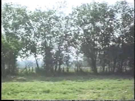 Julia Perrin Porn Videos Porn Star Sex Scenes XHamster