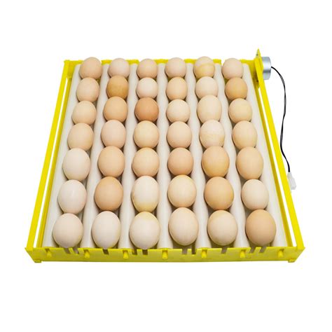 New Roller Eggs Incubator Turn Tray Poultry Incubation Equipment