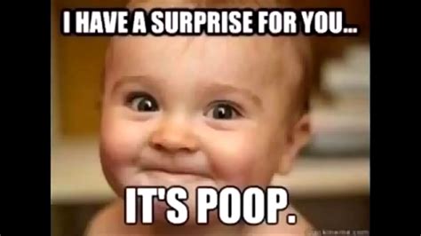 Funny Videos Try Not To Laugh Or Grin Challenge Sex Prank Gone