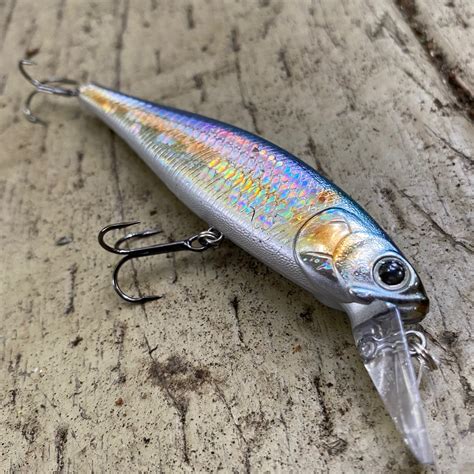 The Lucky Craft Pointer SP Review - Wild Outdoor