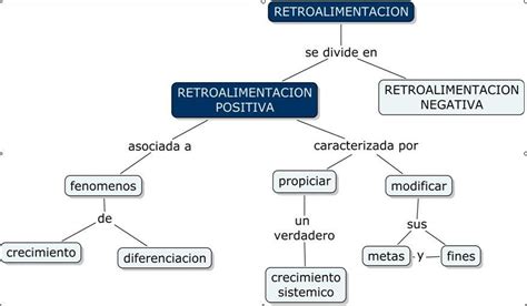 Retroalimentacion Mind Map