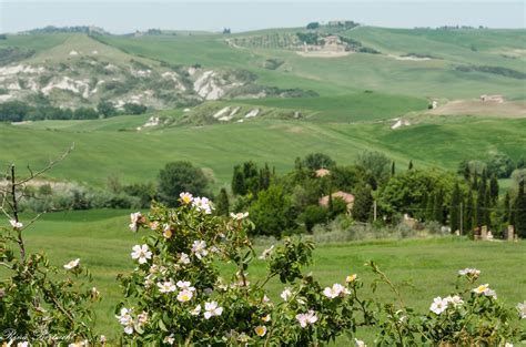 Tapety : Itálie, verde, zelená, Příroda, barvy, krajina, Nikon, Italia ...