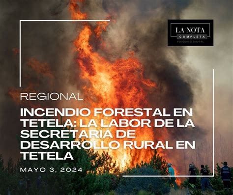 Incendio forestal en Tetela La Labor de la Secretaría de Desarrollo