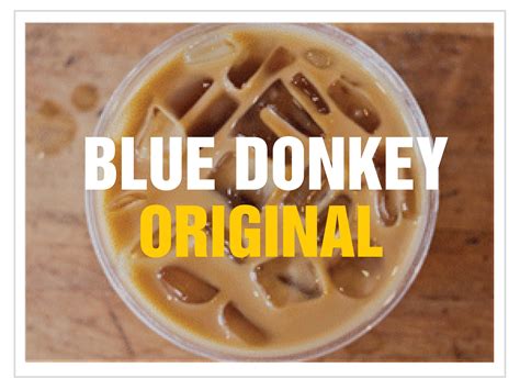Iced Coffee Overview — Blue Donkey Coffee