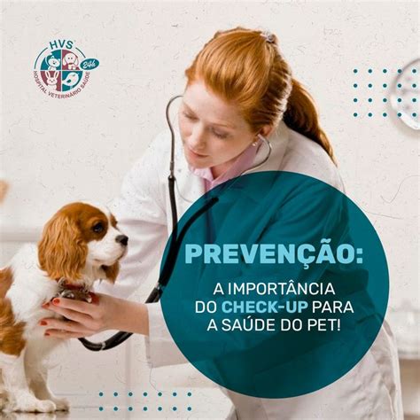 Assim como nós nossos animais de estimação também precisam de cuidados