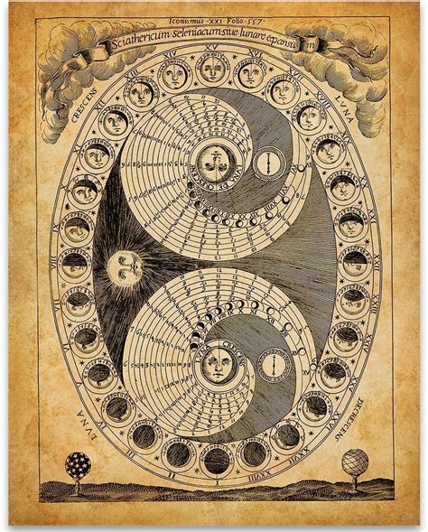 Buy Astronomy Chart Of The Phases Of The Moon X Unframed Art