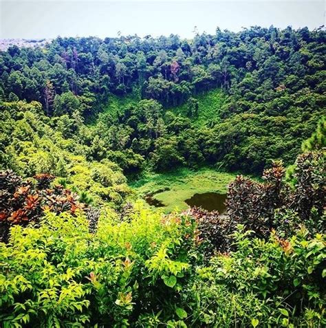 Reisetipps Floreal: 2022 das Beste in Floreal entdecken | Expedia