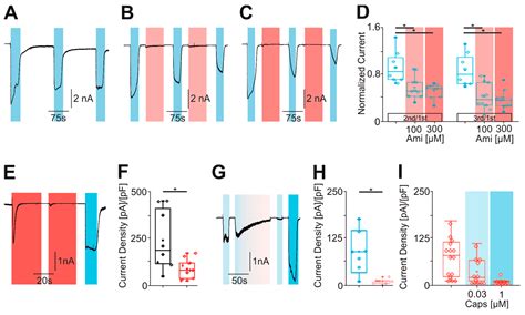 High Concentrations of the Antidepressant Amitriptyline Activate and