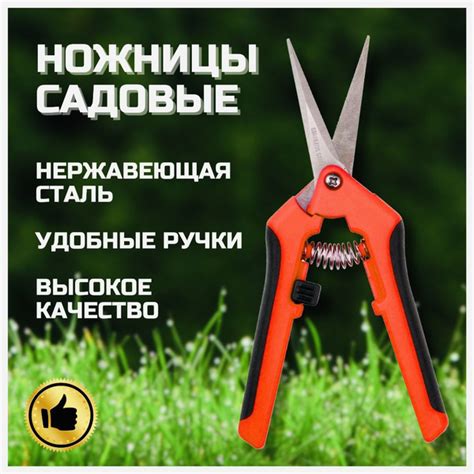 Секатор садовый, ножницы садовые для цветов и растений, веток и травы ...
