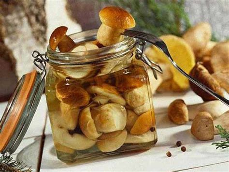 Грибы маринованные на зиму — 5 вкусных рецептов приготовления