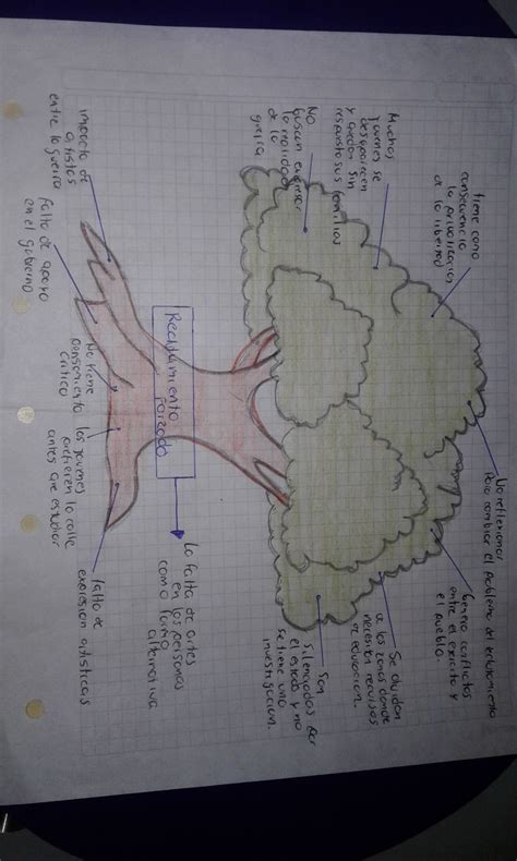 Arbol De Problemas Ejemplos