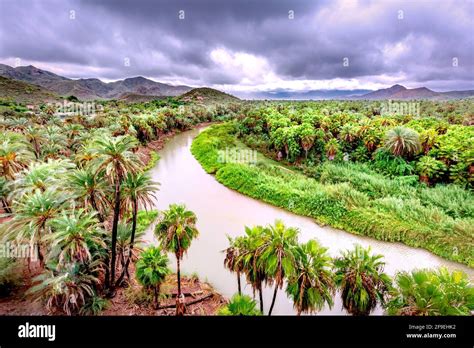 Baja California Mexico Stock Photo Alamy