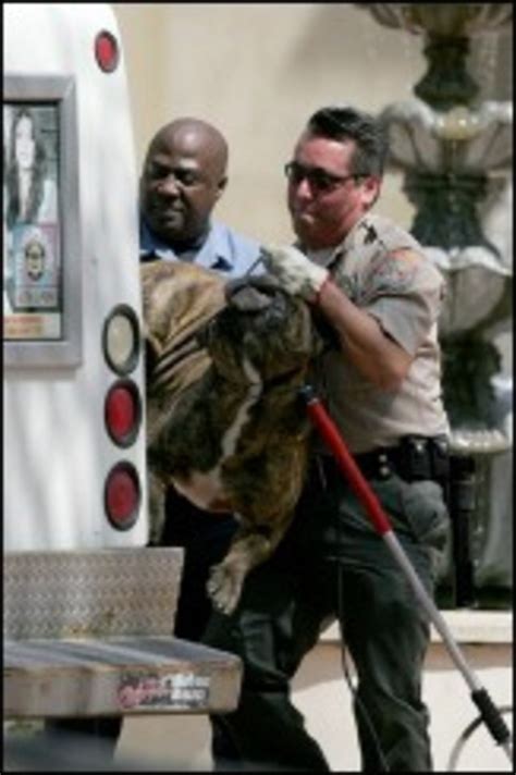 Un empleado fue asesinado por perros en la propiedad del actor Ving