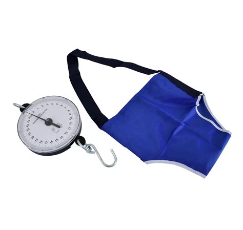 Infant Hanging Weighing Scale For Personal Use Weighing Capacity 30