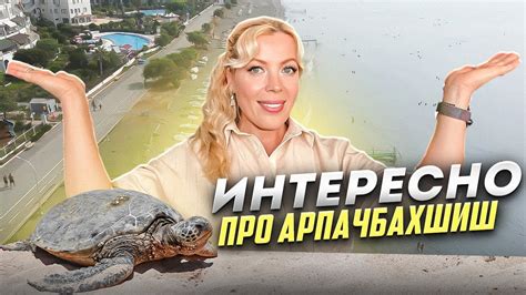 МЕРСИН / Арпачбахшиш.Все,что вы знали и не знали.Обзор района. #мерсин ...