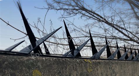 шипы на забор от воров окрашенные