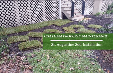 St Augustine Sod Installation Chatham Property Maintenance