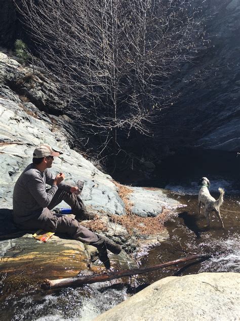 Arizona Fly Fishing: Gila Trout - Arizona WanderingsArizona Wanderings
