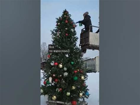 Наряжаем елку 6 метров высотой. Освоили мех руку). #новогоднийдекор # ...