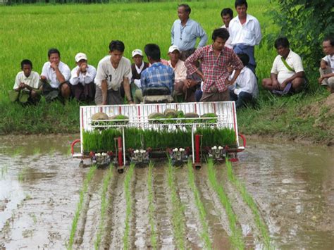 Easy operation paddy transplanter paddy planter rice planting machine for sale Products from ...