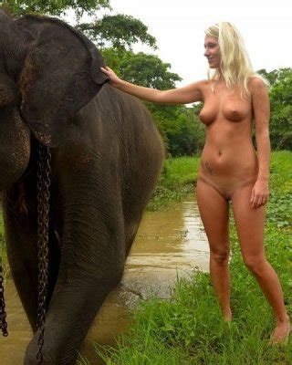 Foreign Girl Nude With An Elephant In Sri Lanka Porn Pictures XXX
