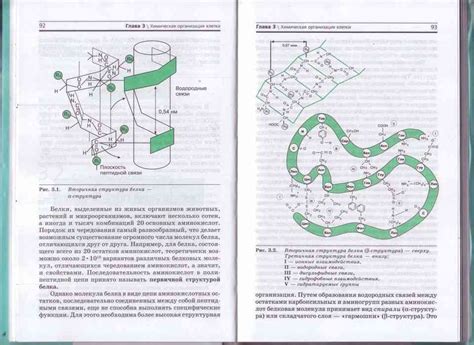 Учебник по биологии 10 класс Захаров Агафонова читать онлайн