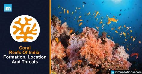 coral reefs  india formation location  threats climate