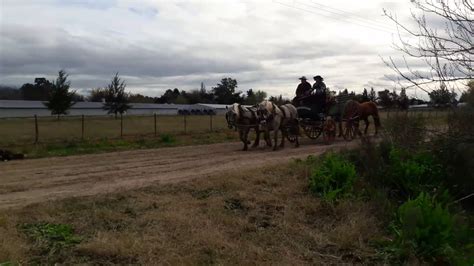 Cabalgata De Tardes Gauchescas En Plomer Youtube