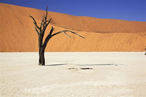 Sonneninitiative Gr Te Sorge Der Deutschen Ist Der Klimawandel